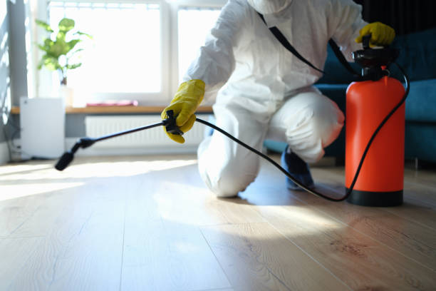 Reliable Odor Removal contractor in Somerville, NJ by Trauma Clean Pros